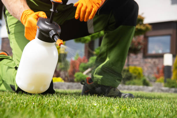 Best Rodent Control Near Me  in Hawthorne, NJ