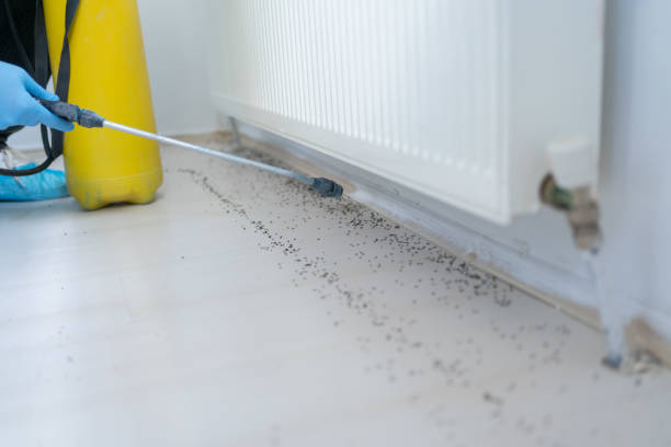 Best Ant Control Services  in Hawthorne, NJ